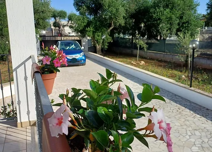 Al Pineto San Matteo *