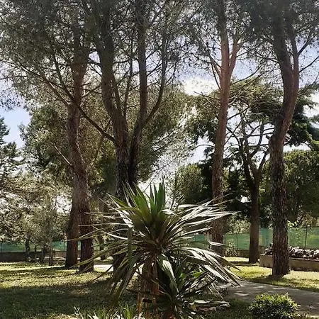 Al Pineto San Matteo *