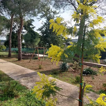 Σπίτι διακοπών Al Pineto San Matteo