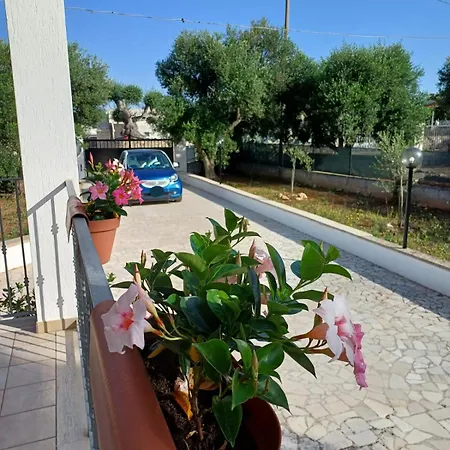 Al Pineto San Matteo *